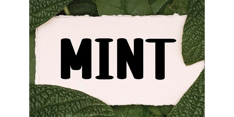 Summer Florence Font by ArtLine Design — Display Font — thumbnail 3