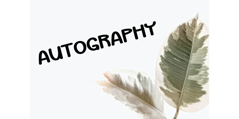 Summer Font by KC Production — Display Font — thumbnail 5