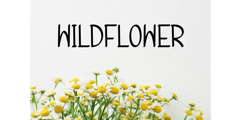 Summer Outline Font by ArtLine Design — Display Font — thumbnail 4