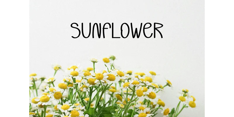 Summer Paradise Font by ArtLine Design — Display Font — thumbnail 3