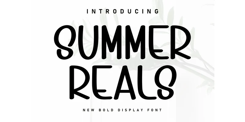 Summer Reals Font by ArtLine Design — Display Font