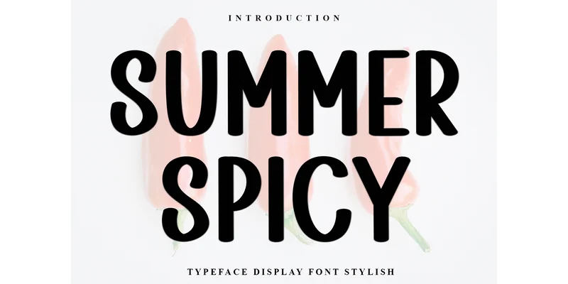 Summer Spicy Font by FreshTypeINK — Display Font