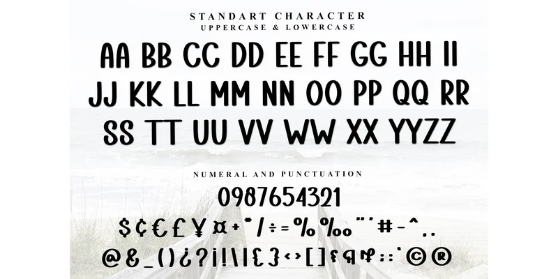 Summer Spicy Font by FreshTypeINK — Display Font — thumbnail 4