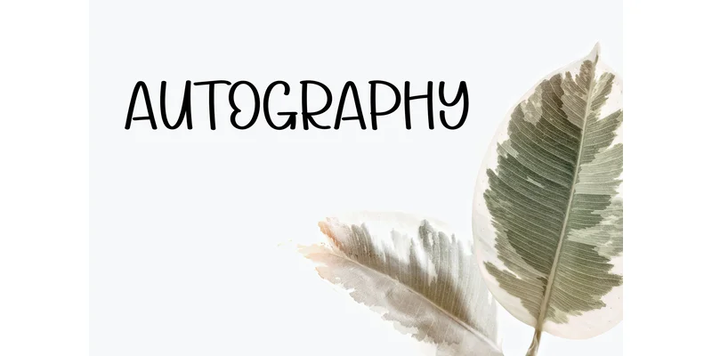 Summer Together Font by KC Production — Display Font — thumbnail 3