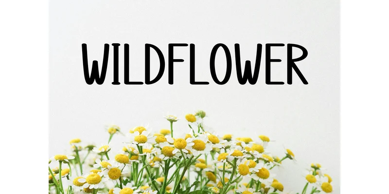 Summer Twinkle Font by ArtLine Design — Display Font — thumbnail 2