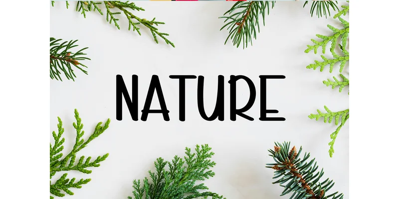 Summer Vibrant Font by Berkah Shop — Display Font — thumbnail 3