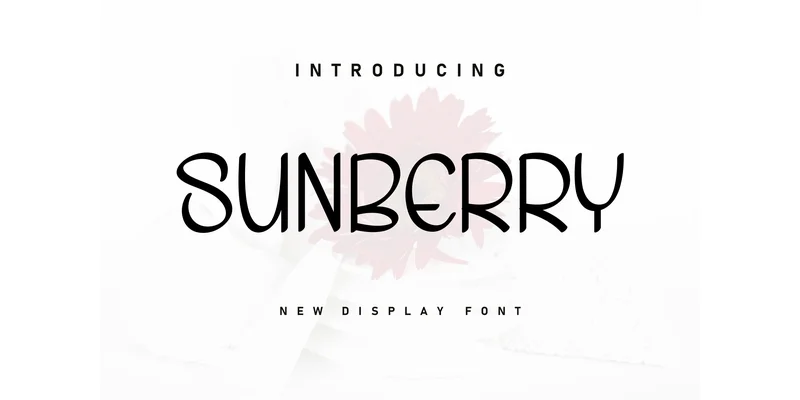 Sunberry Font by Berkah Shop — Display Font