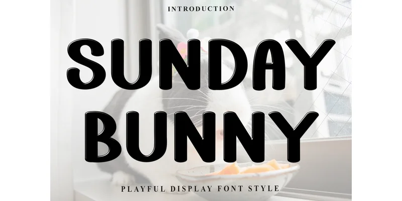 Sunday Bunny Font by FreshTypeINK — Display Font