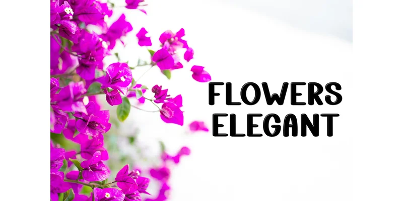 Sunday Bunny Font by FreshTypeINK — Display Font — thumbnail 5