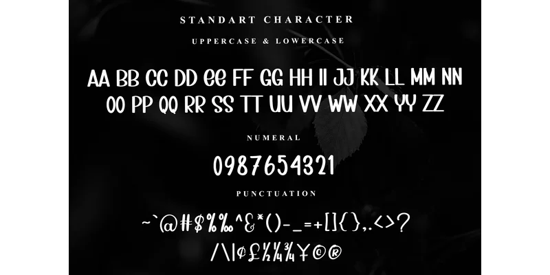 Sunday Summer Font by Inermedia STUDIO — Sans Serif Font — thumbnail 5