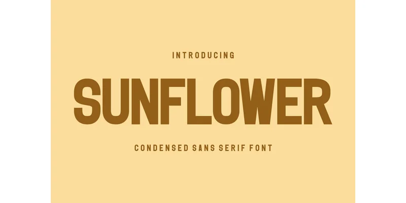 Sunflower Font by CraftedType Studio — Sans Serif Font