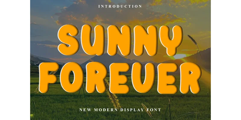 Sunny Forever Font by FreshTypeINK — Display Font