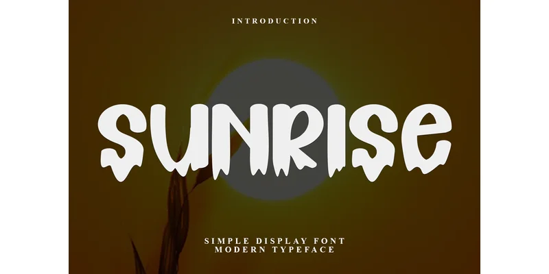 Sunrise Font by PiPi Creative — Display Font