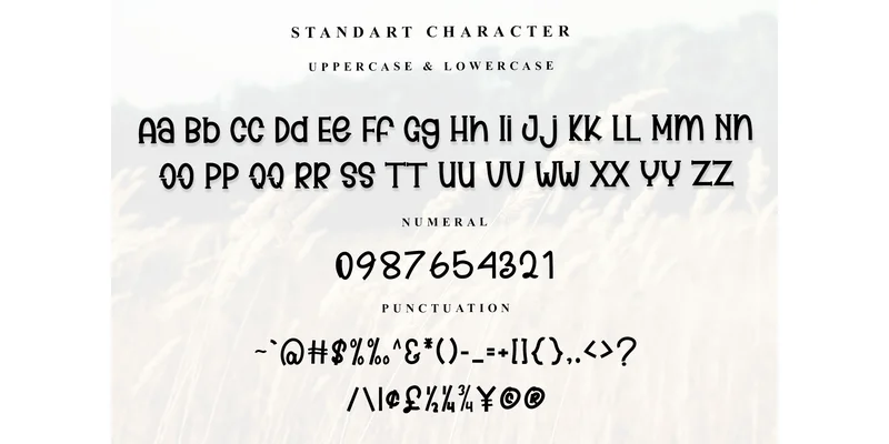 Sweet Family Font by Inermedia STUDIO — Display Font — thumbnail 5