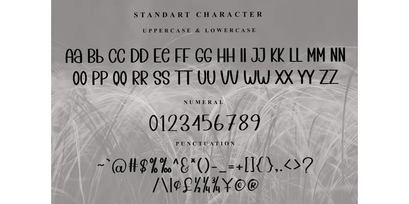 Sweet Smile Font by Inermedia STUDIO — Sans Serif Font — thumbnail 5