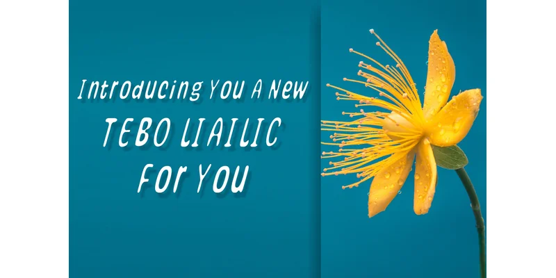 Tebo Font by mhd.usman00 — Display Font — thumbnail 2