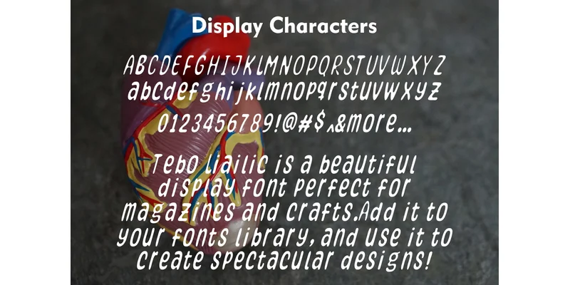 Tebo Font by mhd.usman00 — Display Font — thumbnail 3