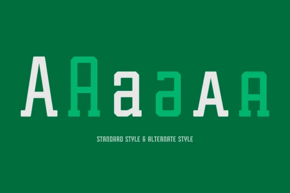 Tecnica Slab Family by Graviton Font Foundry — Slab Serif Font — thumbnail 4