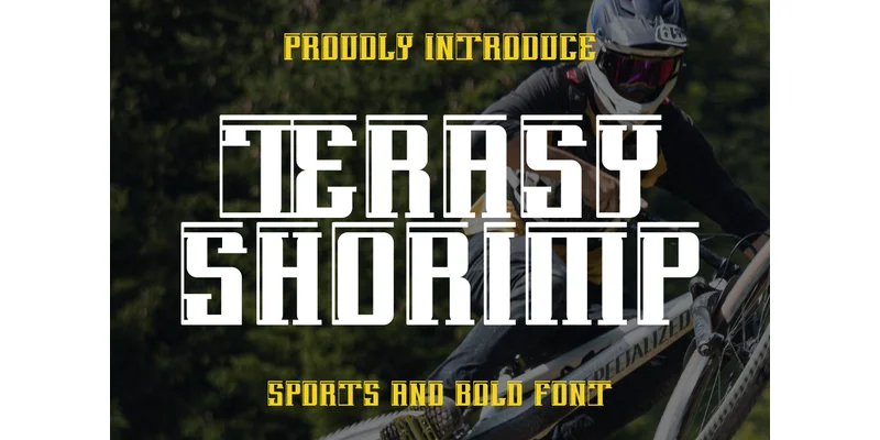 Terasy Shorimp Font by vandesignstd — Display Font