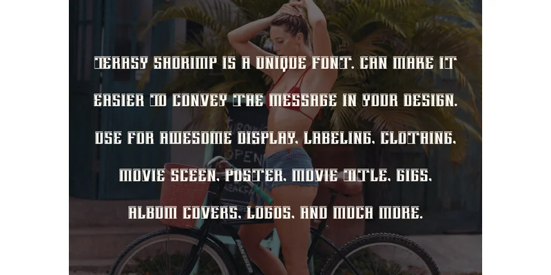 Terasy Shorimp Font by vandesignstd — Display Font — thumbnail 5