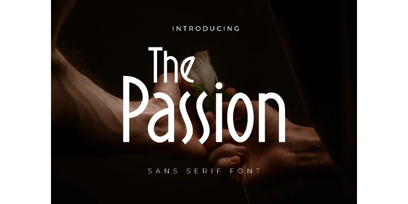 The Passion Font by Pidco.art — Sans Serif Font