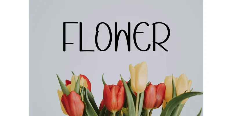 Thursday Shape Font by Berkah Shop — Display Font — thumbnail 4