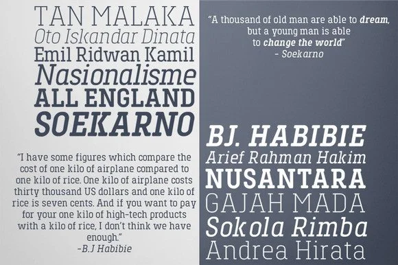 Toenas Bangsa by Bang Kumis Typefoundry — Slab Serif Font — thumbnail 2