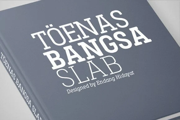 Toenas Bangsa by Bang Kumis Typefoundry — Slab Serif Font — thumbnail 6