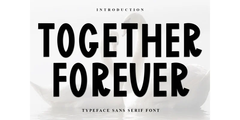 Together Forever Font by FreshTypeINK — Display Font