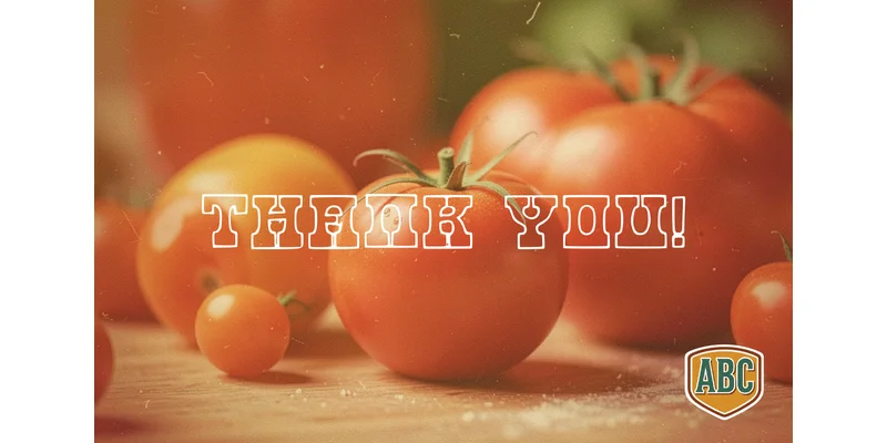 Tomato Font by ABC Font — Display Font — thumbnail 4