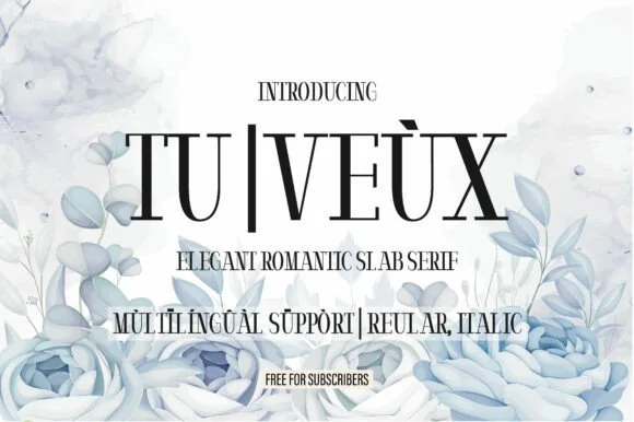 Tu | VeΓΉx by Minimalistartstudio β Slab Serif Font