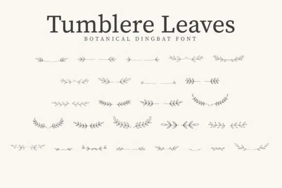 Tumblere Leaves by CraftedType Studio — Dingbats Font