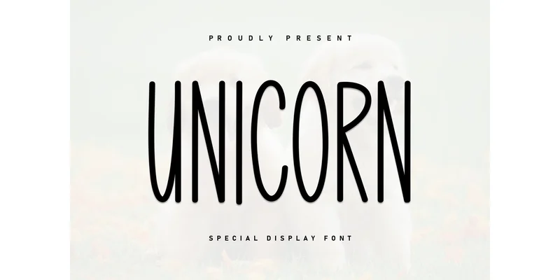 Unicorn Font by Berkah Shop — Display Font
