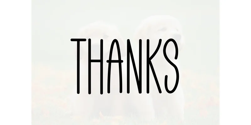Unicorn Font by Berkah Shop — Display Font — thumbnail 5