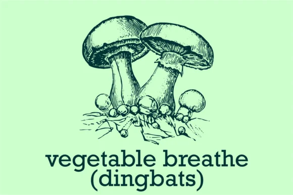 Vegetable Breathe by Intellecta Design — Dingbats Font