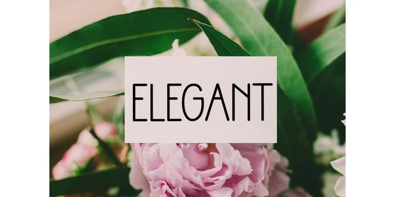 Vilance Font by Inermedia STUDIO — Sans Serif Font — thumbnail 5