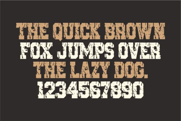 Vintage College by AnamalmusyaffaCreative — Slab Serif Font — thumbnail 5
