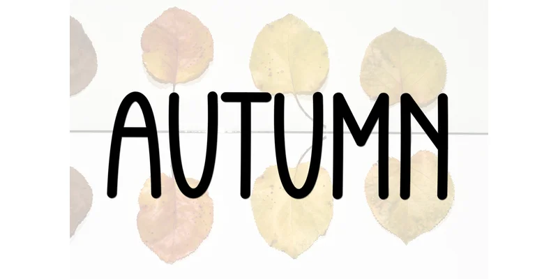 Vintage Handmade Font by FreshTypeINK — Display Font — thumbnail 6