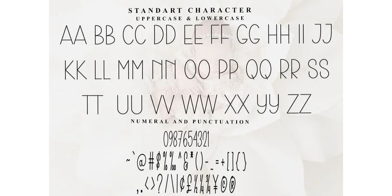 Vintage Minimalist Font by Inermedia STUDIO — Sans Serif Font — thumbnail 4