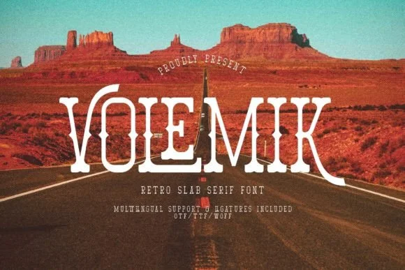 Volemik by Denustudios — Slab Serif Font