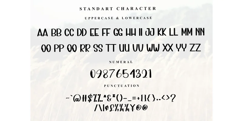 Volley Font by Inermedia STUDIO — Sans Serif Font — thumbnail 5