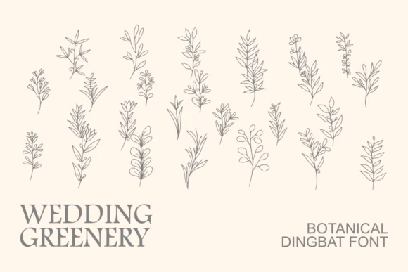 Wedding Greenery by Intype Studio — Dingbats Font