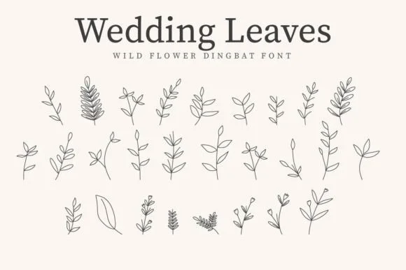 Wedding Leaves by CraftedType Studio — Dingbats Font