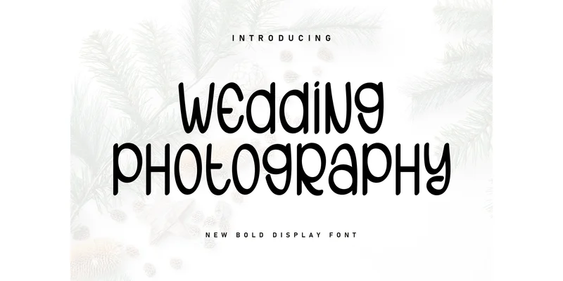 Wedding Photography Font by KC Production — Display Font