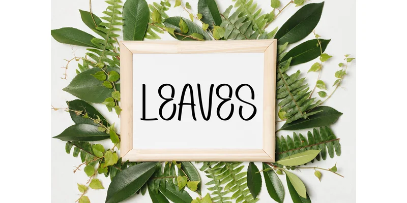Wedding Recap Font by Berkah Shop — Display Font — thumbnail 3