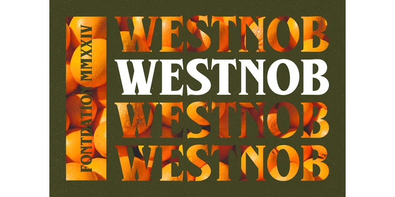 Westnob Font by Fontdation by Fontdation β Serif Font