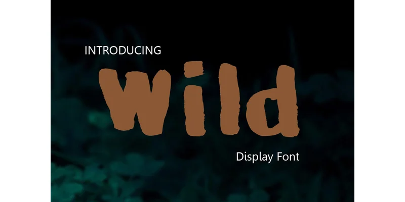Wild Font by ShinCraftShop — Display Font