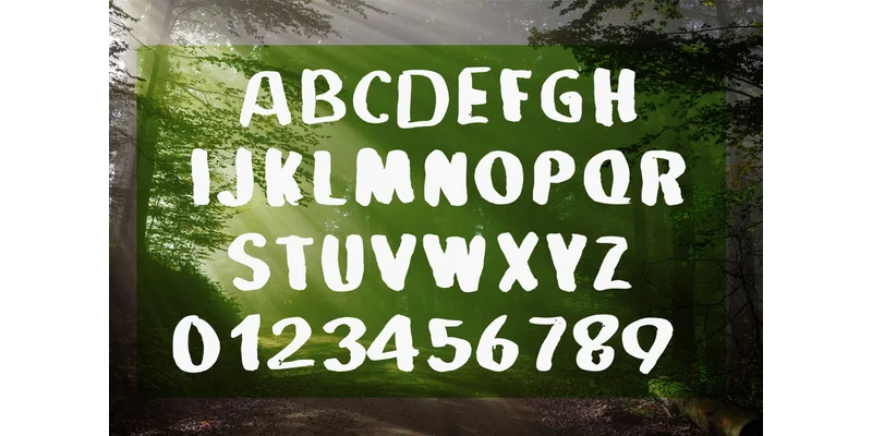 Wild Font by ShinCraftShop — Display Font — thumbnail 2