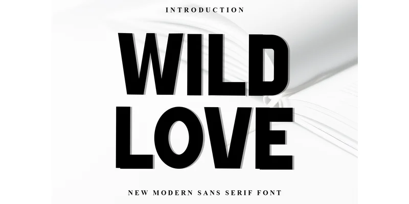 Wild Love Font by Inermedia STUDIO — Display Font
