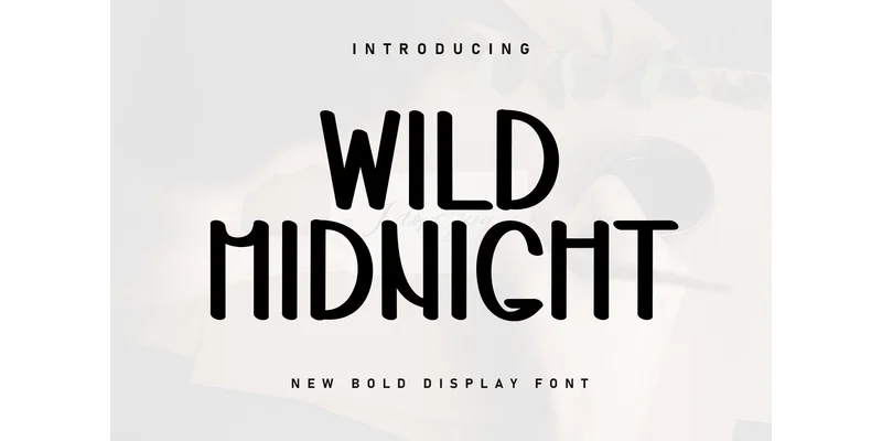 Wild Midnight Font by ArtLine Design — Display Font